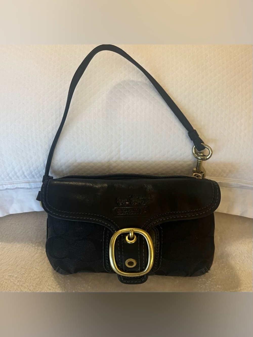 🩷
Coach Jacquard leather/canvas vintage Legacy signature wristlet
Y2K🩷